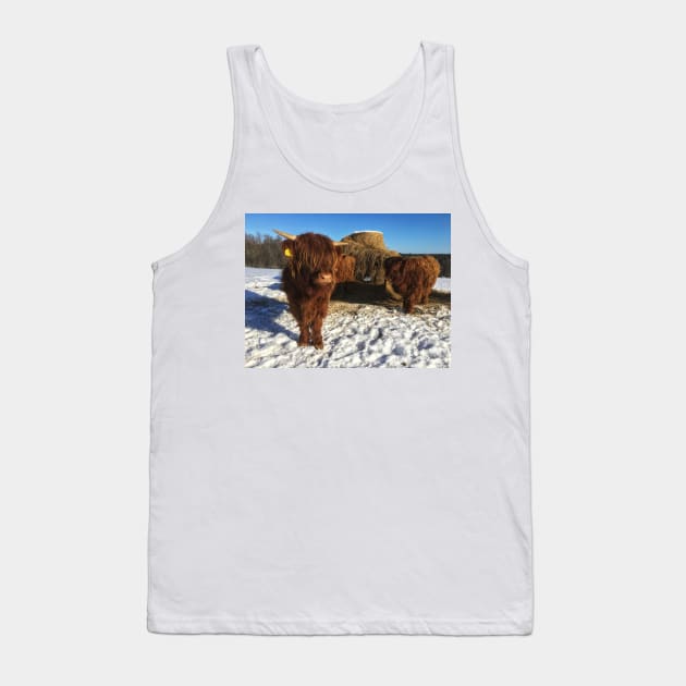 Scottish Highland Cattle Calves 1932 Tank Top by SaarelaHighland